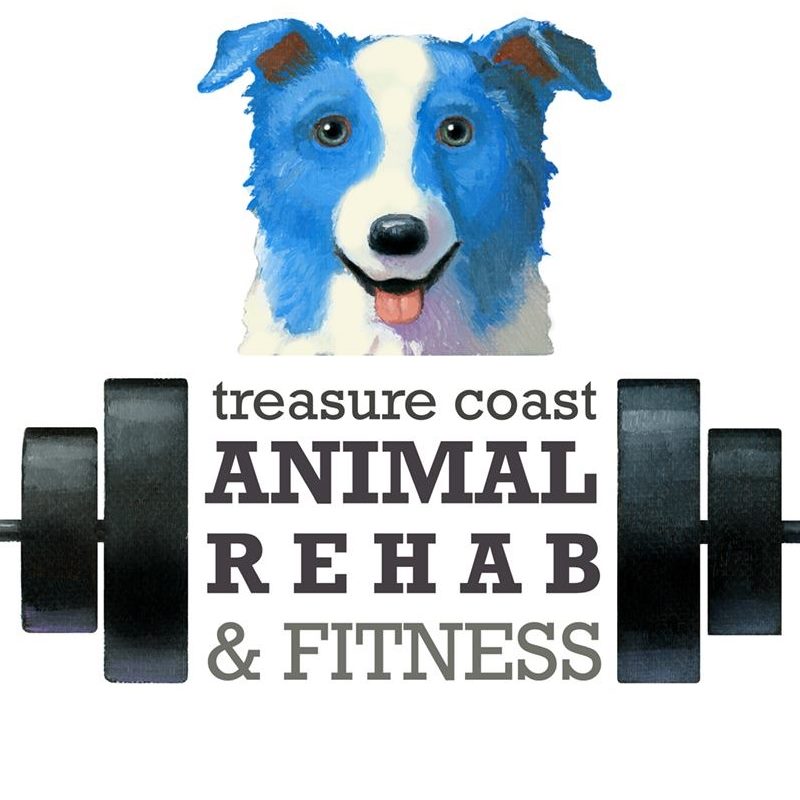 Treasure Coast Animal Rehab & Fitness
