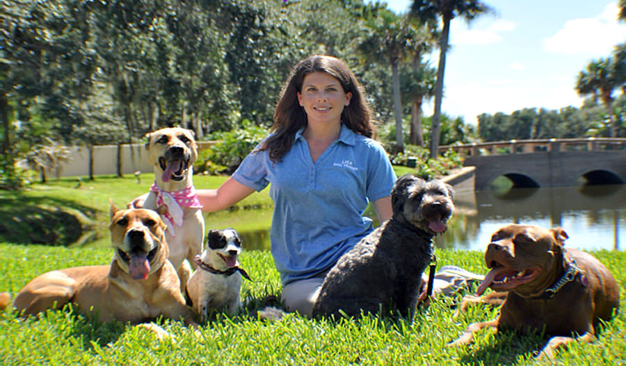 Lisa's Dog Training & Pet Care