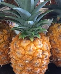 Baby Pineapples